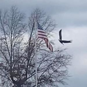 Meet your Posher, Dee